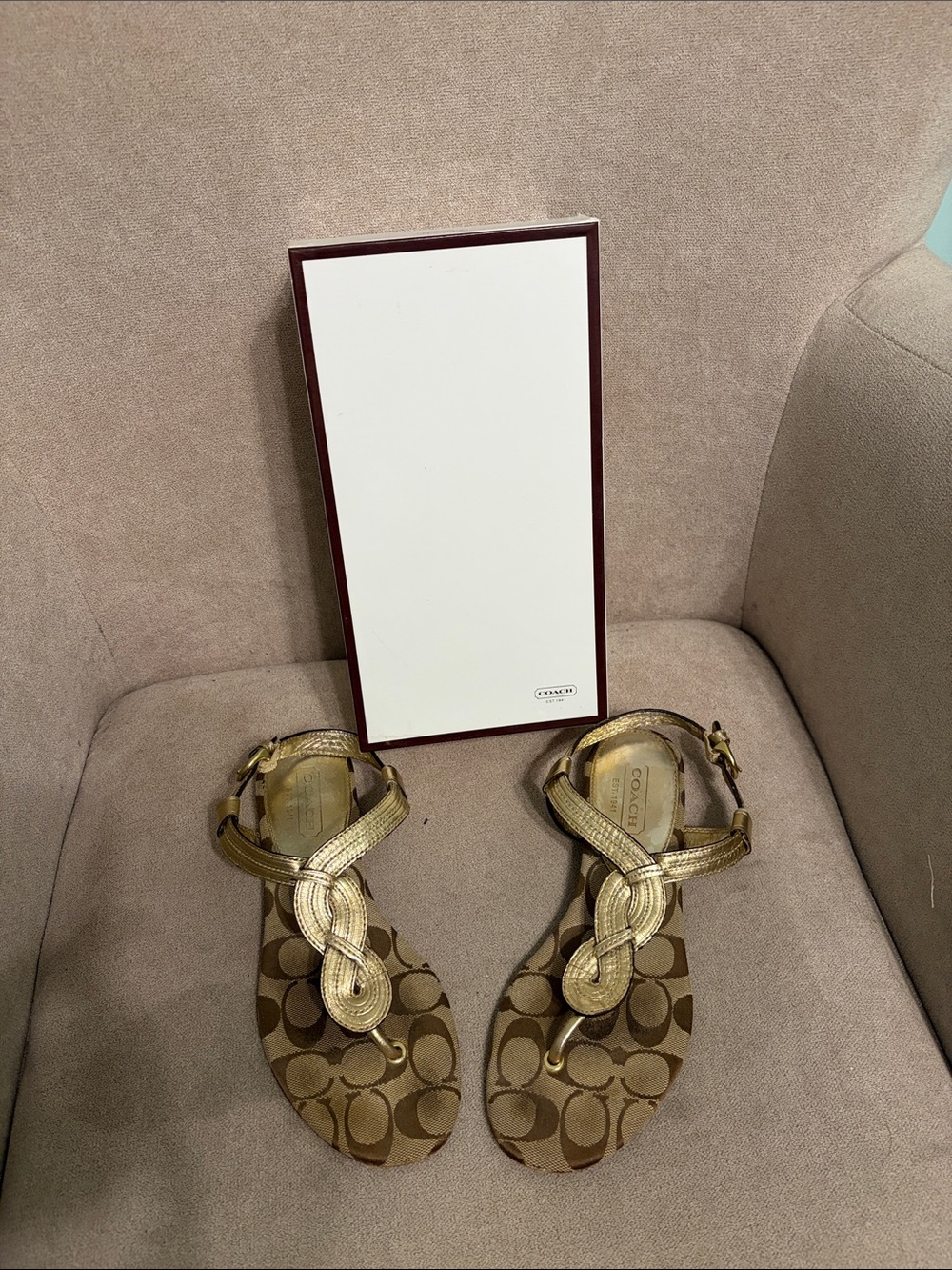 Coach Metallic Gold Sandal